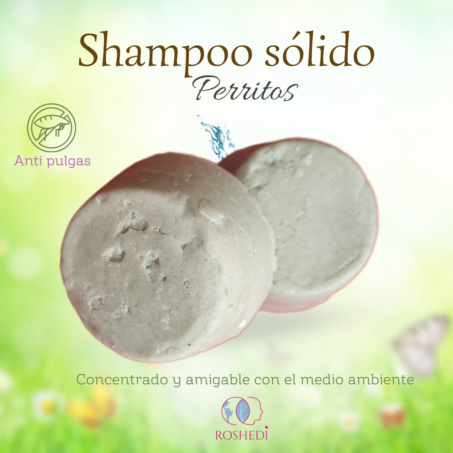 Shampoo perritos